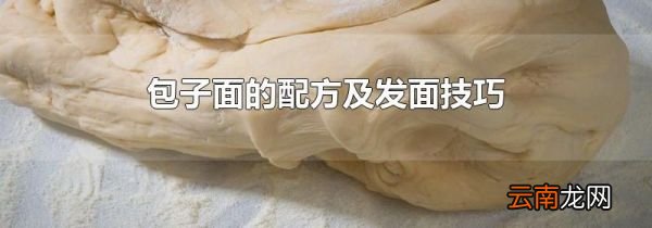 包子面的配方及发面技巧