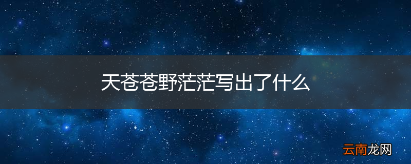 天苍苍野茫茫写出了什么