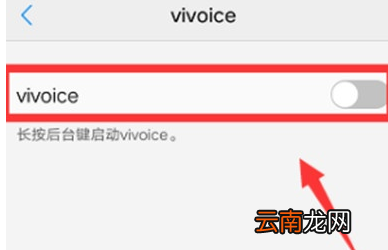 vivoS1中将语音助手打开具体操作步骤