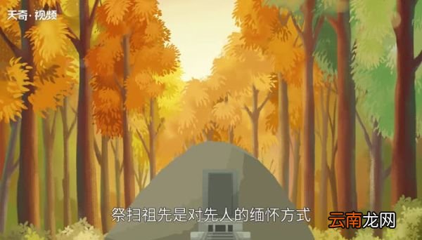 清明节为什么要扫墓 清明节为何要扫墓