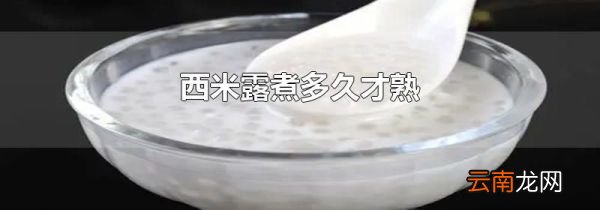西米露煮多久才熟