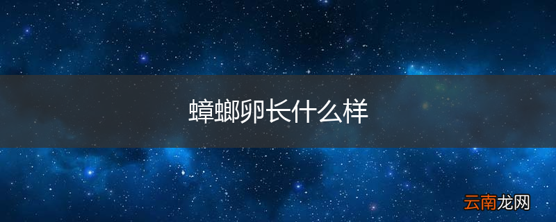 蟑螂卵长什么样