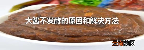 大酱不发酵的原因和解决方法