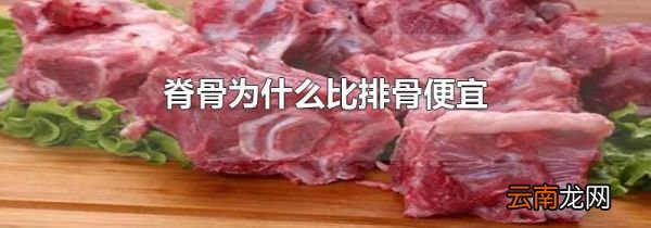 脊骨为什么比排骨便宜