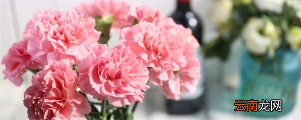 母亲节送什么花 母亲节送什么