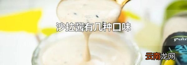 沙拉酱有几种口味