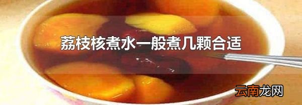 荔枝核煮水一般煮几颗合适
