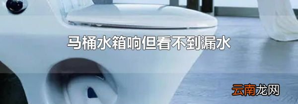 马桶水箱响但看不到漏水