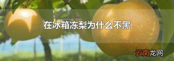 在冰箱冻梨为什么不黑