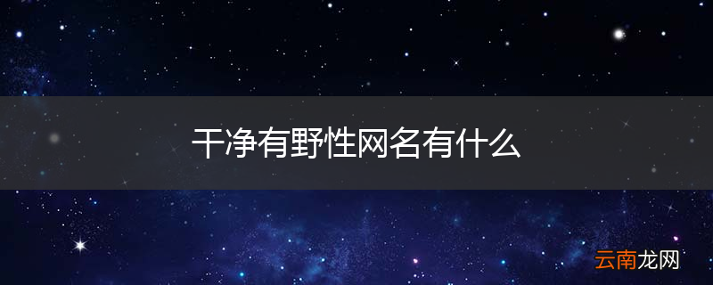 干净有野性网名有什么