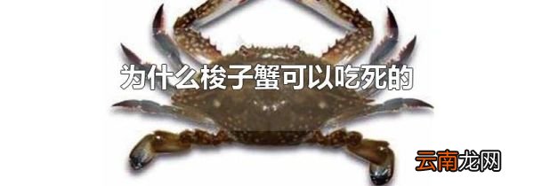 为什么梭子蟹可以吃死的