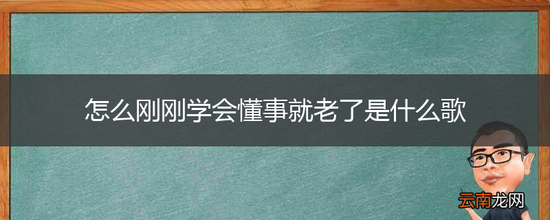 怎么刚刚学会懂事就老了是什么歌