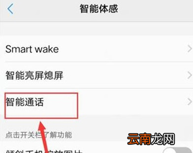 vivoS1中打开捂住屏幕静音具体操作步骤