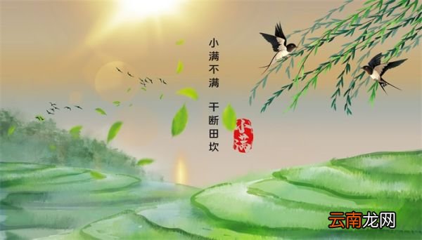 小满和芒种区别 小满和芒种的区别是什么
