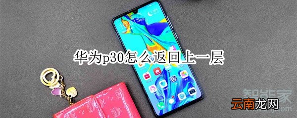 华为p30怎么返回上一层