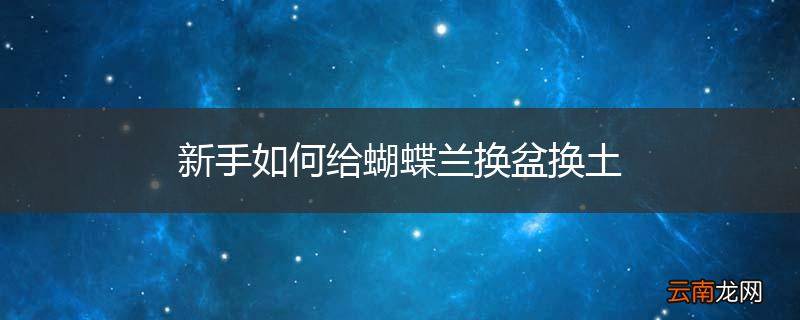 新手如何给蝴蝶兰换盆换土