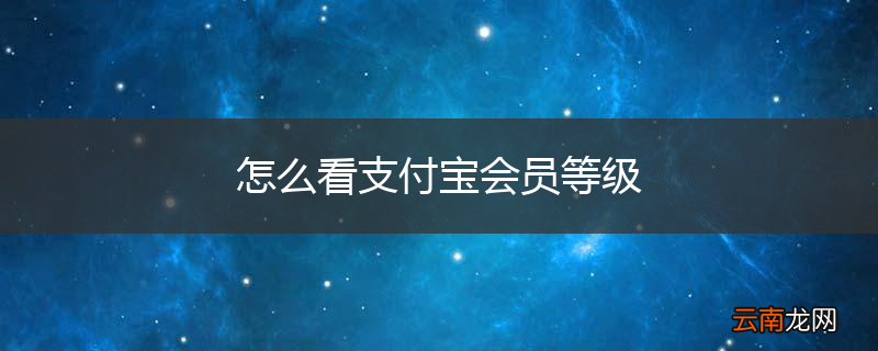 怎么看支付宝会员等级