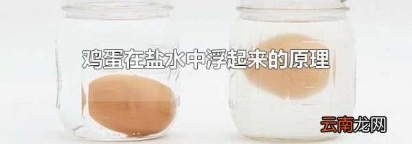 鸡蛋在盐水中浮起来的原理