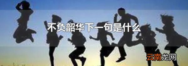 不负韶华下一句是什么