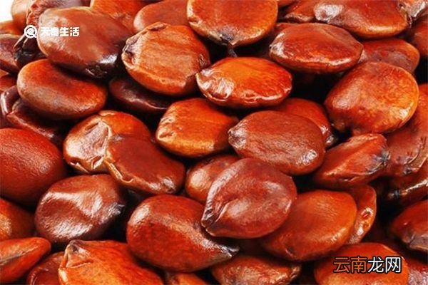 酸枣仁和绿豆的功效与作用 酸枣仁和绿豆的功效