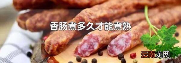 香肠煮多久才能煮熟