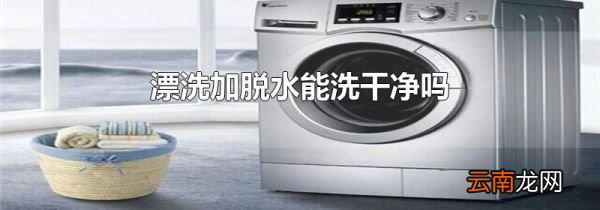 漂洗加脱水能洗干净吗