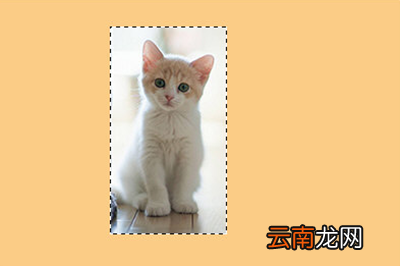 Photoshop为图片加边框具体操作步骤