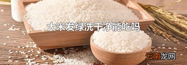大米发绿洗干净能吃吗