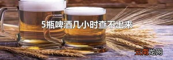5瓶啤酒几小时查不出来