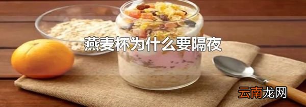 燕麦杯为什么要隔夜
