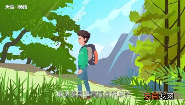 万事顺遂是什么意思 万事顺遂是什么含义