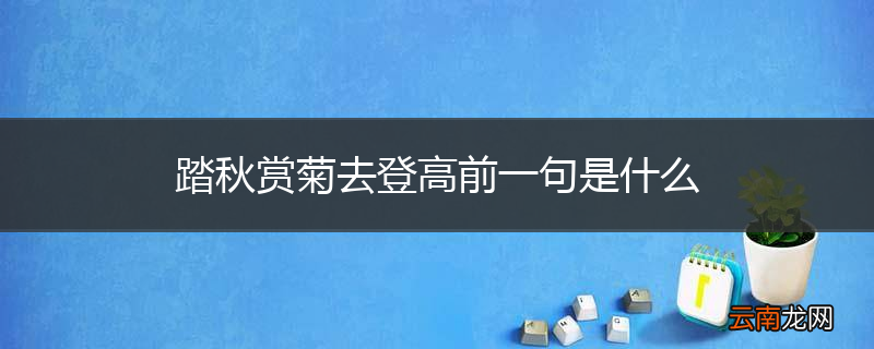 踏秋赏菊去登高前一句是什么