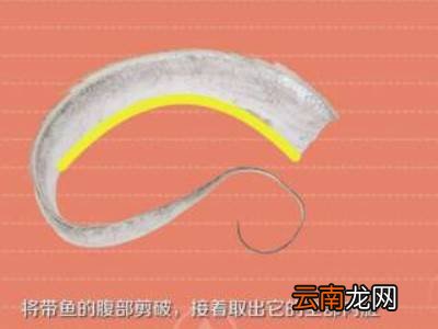 怎样清理带鱼