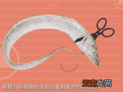 怎样清理带鱼