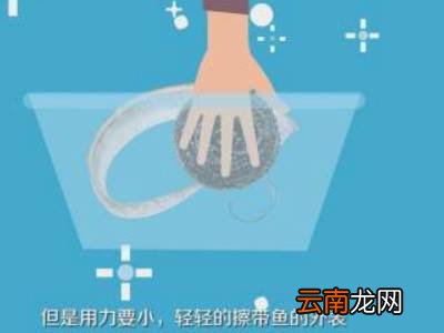 怎样清理带鱼