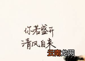 how made winds是什么梗？