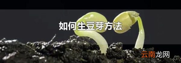 如何生豆芽方法