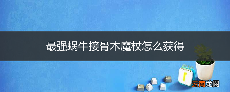 最强蜗牛接骨木魔杖怎么获得