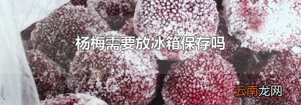 杨梅需要放冰箱保存吗