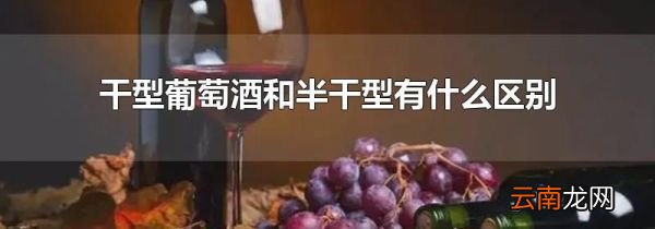 干型葡萄酒和半干型有什么区别