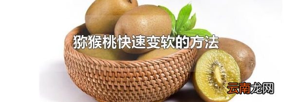猕猴桃快速变软的方法