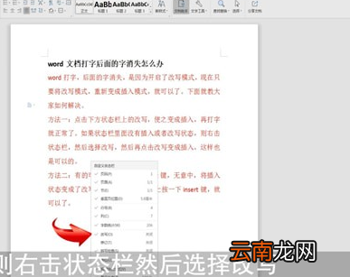 word中打字出现后面字消失具体处理方法