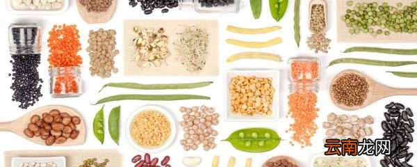 淀粉类食物 淀粉类食物有哪些
