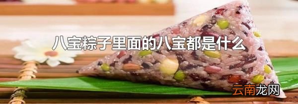八宝粽子里面的八宝都是什么