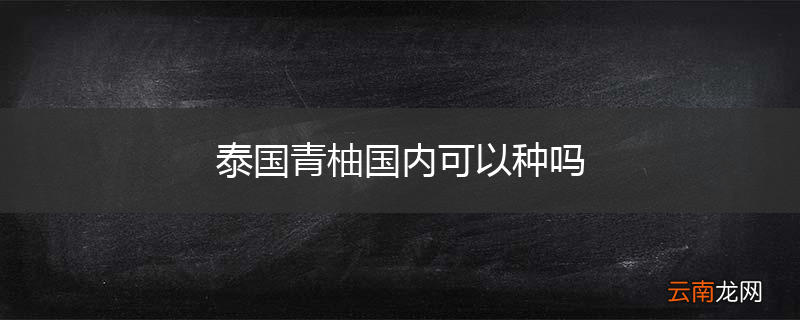 泰国青柚国内可以种吗