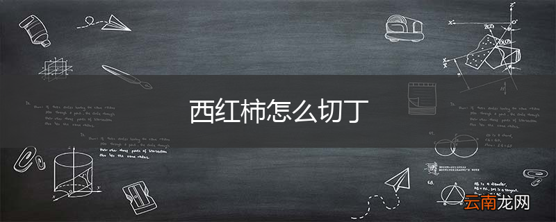 西红柿怎么切丁