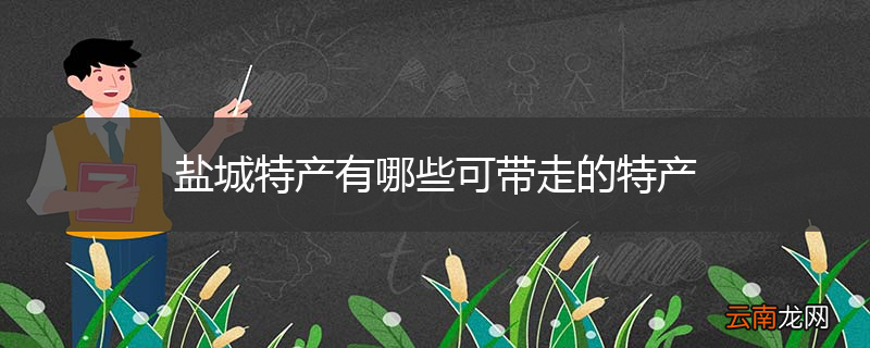 盐城特产有哪些可带走的特产