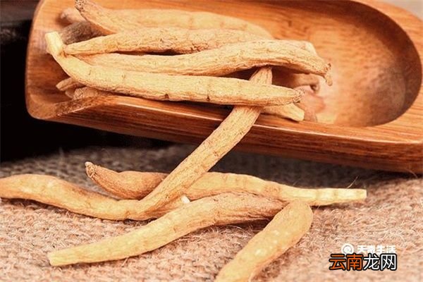 菜头肾的功效与作用 菜头肾有哪些功效与作用