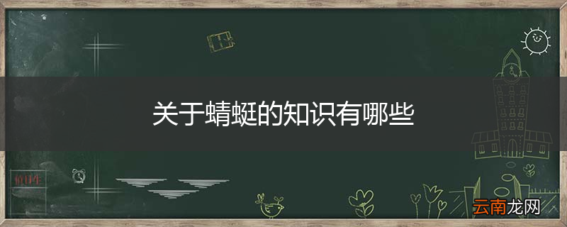 关于蜻蜓的知识有哪些