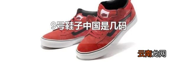 9号鞋子中国是几码